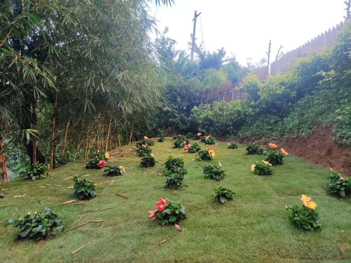 Misty Rain Estate Hotel Madikeri Luaran gambar