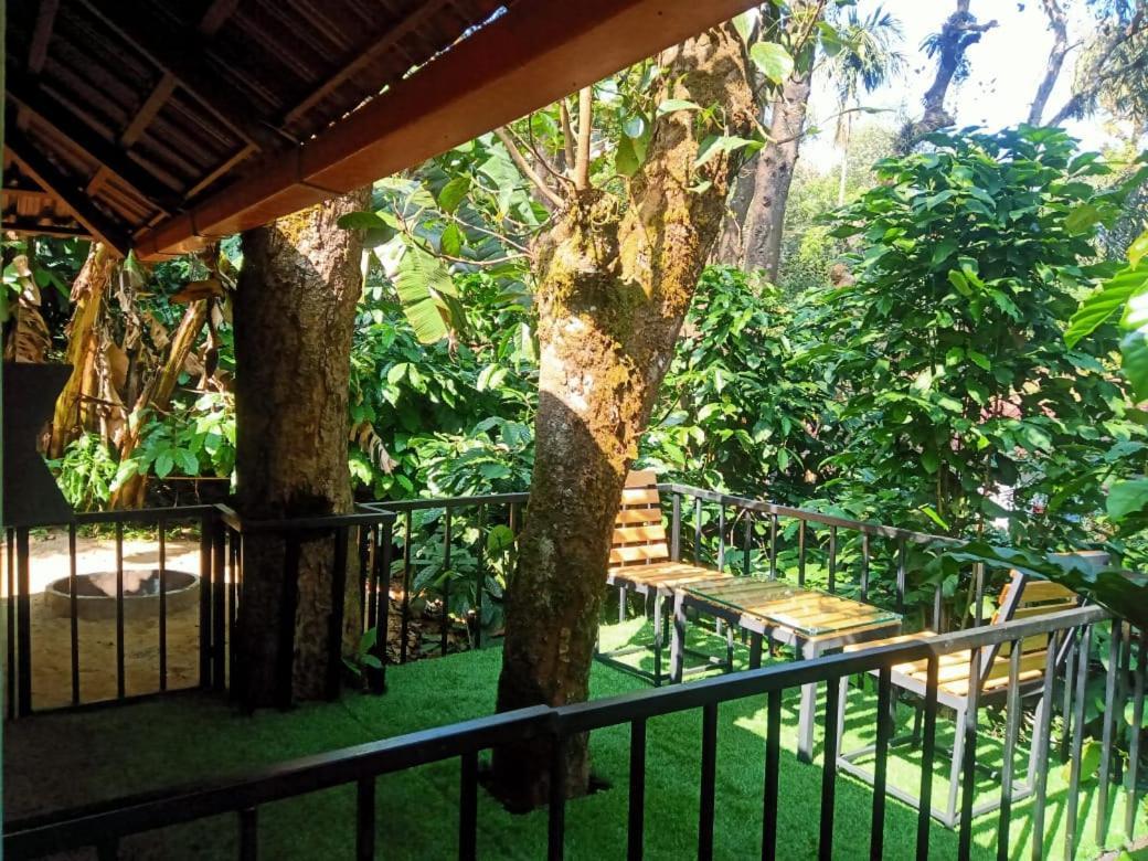 Misty Rain Estate Hotel Madikeri Luaran gambar