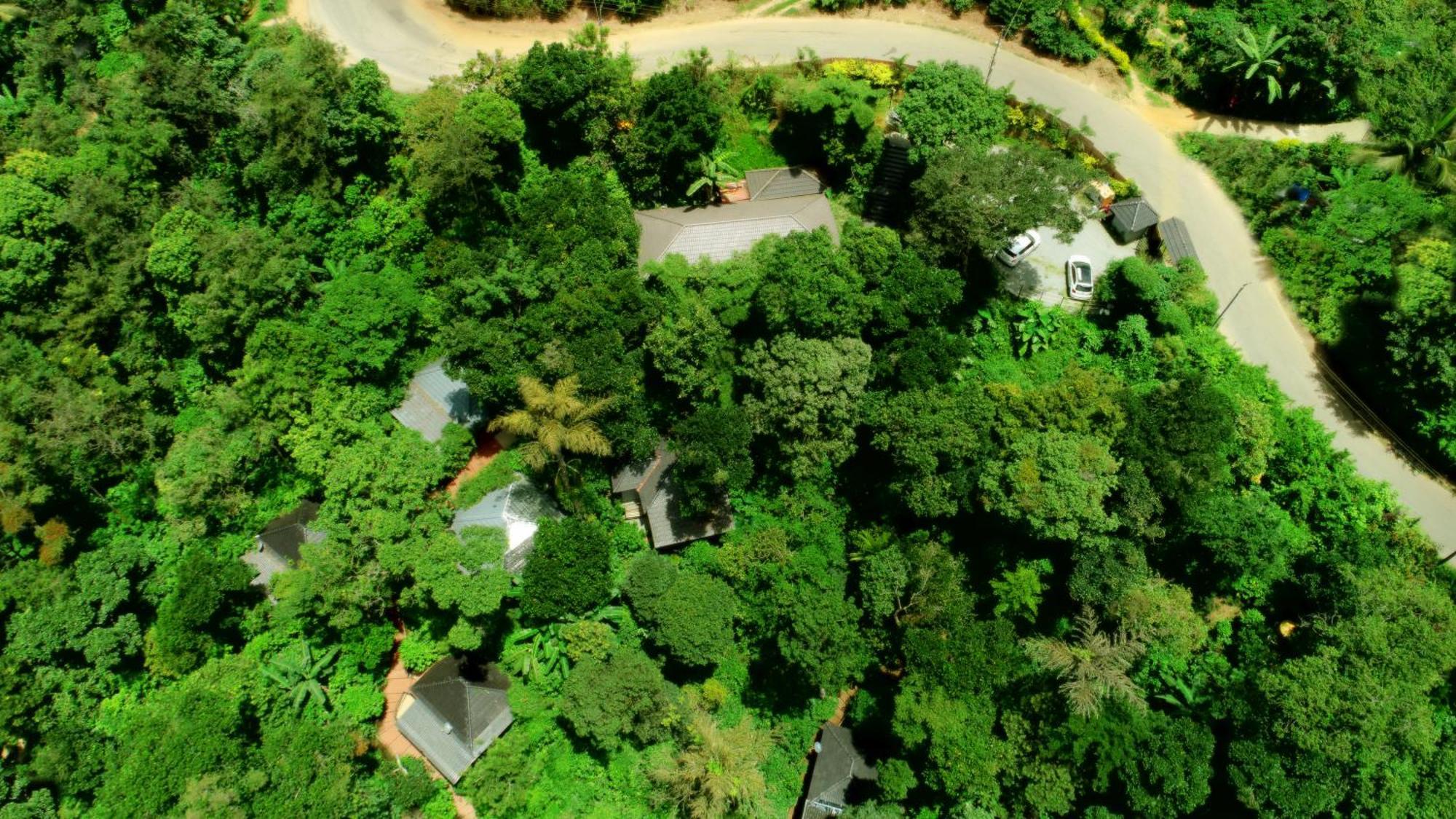 Misty Rain Estate Hotel Madikeri Luaran gambar