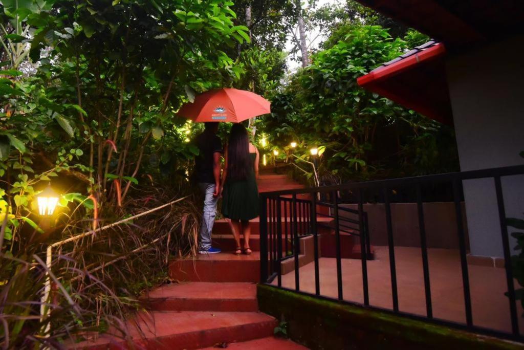 Misty Rain Estate Hotel Madikeri Luaran gambar