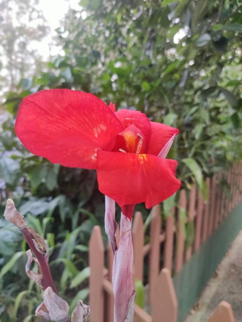 Misty Rain Estate Hotel Madikeri Luaran gambar