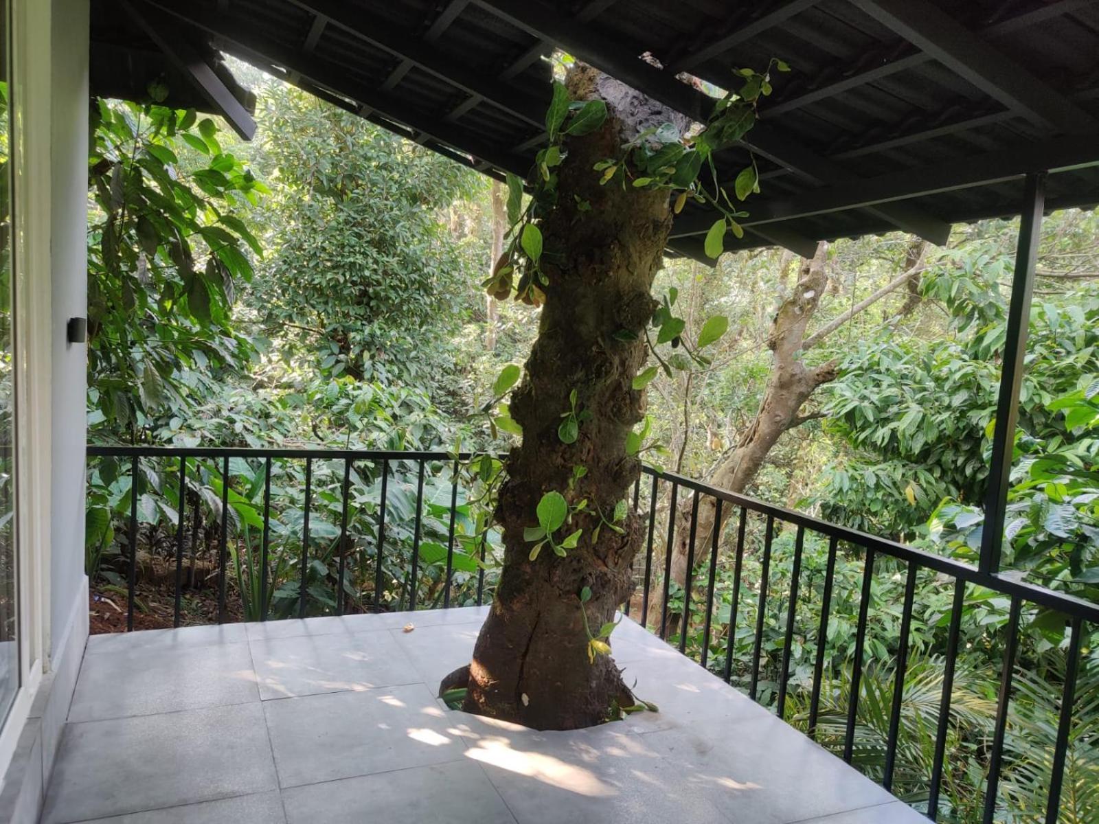 Misty Rain Estate Hotel Madikeri Luaran gambar