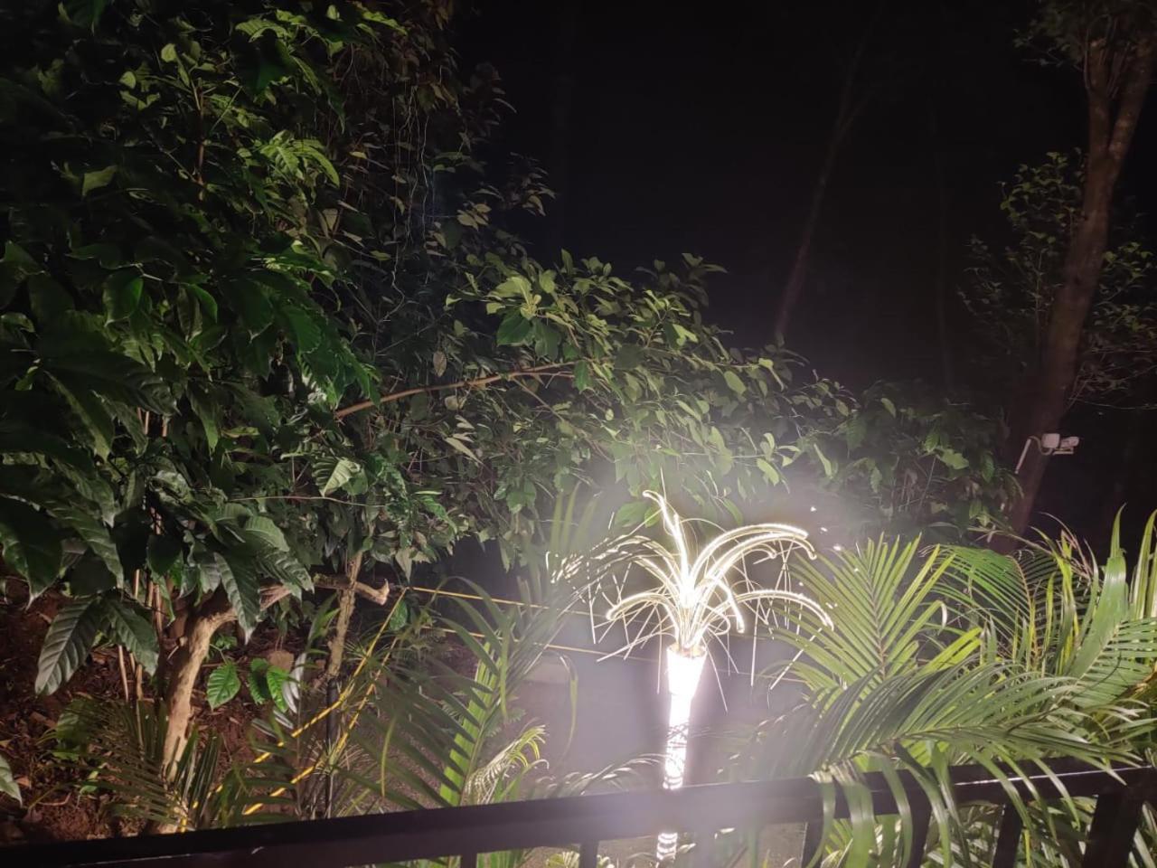 Misty Rain Estate Hotel Madikeri Luaran gambar